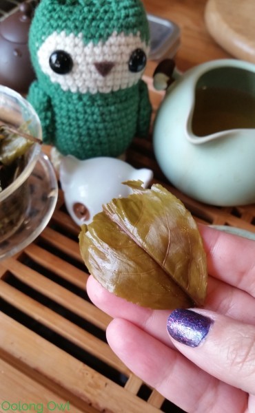 Choui fong thailand green tea - kent sussex - oolong owl tea review (1)