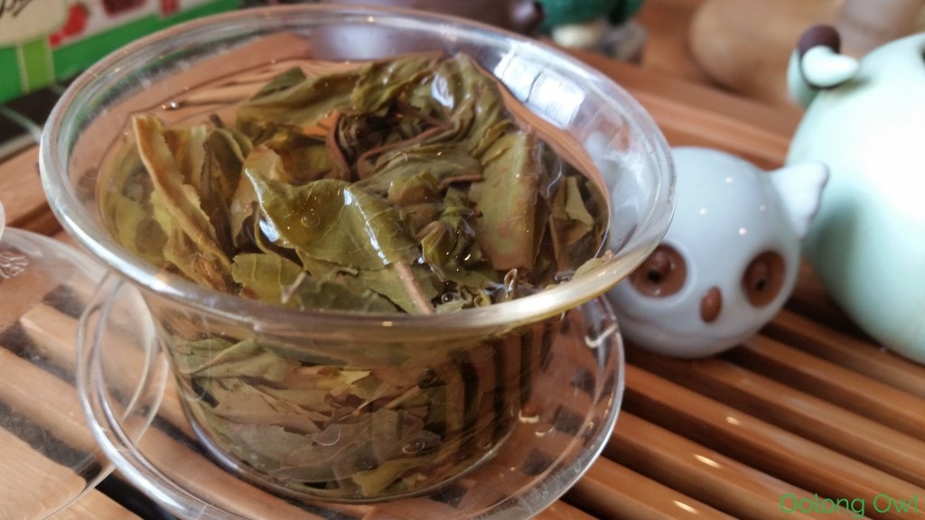 Choui fong thailand green tea - kent sussex - oolong owl tea review (2)