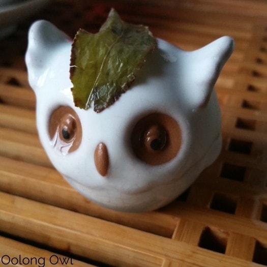 Global Tea Hut Jan 2016 - Oolong Owl (1)