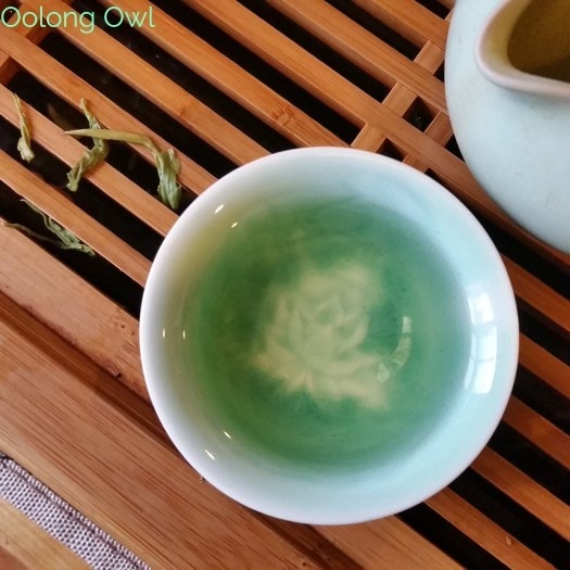 Tea Adventure Green Teas - Oolong Owl (1)