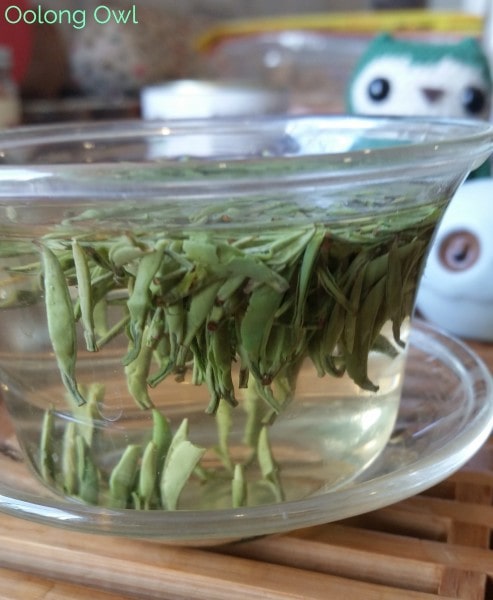Tea Adventure Green Teas - Oolong Owl (11)