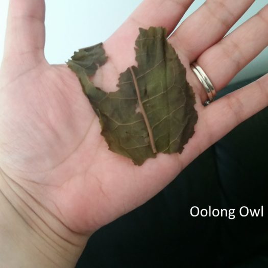 2016 Fade White2tea - oolong owl (9)