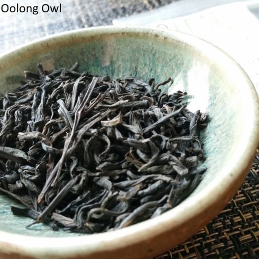 3 leaf unsmoked lapsang souchong - oolong owl (2)