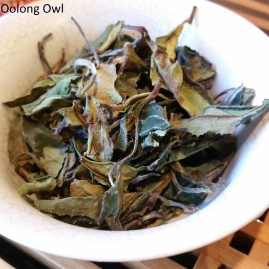 Kumaon White from Young Mountain Tea - Oolong Owl (1)