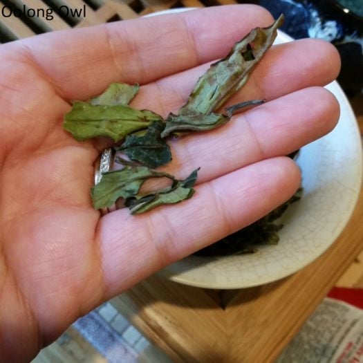 Kumaon White from Young Mountain Tea - Oolong Owl (3)