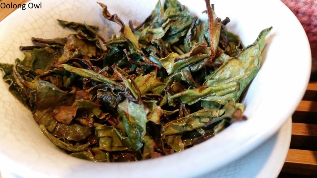Kumaon White from Young Mountain Tea - Oolong Owl (5)