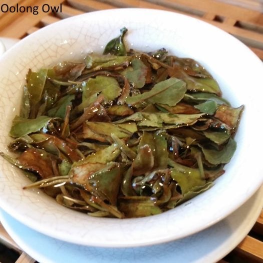 Kumaon White from Young Mountain Tea - Oolong Owl (7)
