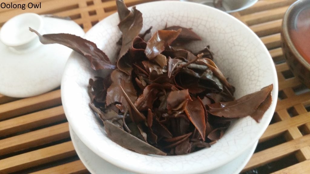 hsinchu-oriental-beauty-adagio-teas-oolong-owl-7