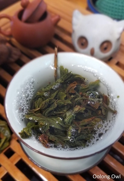 may2017 w2t club - oolong owl (9)