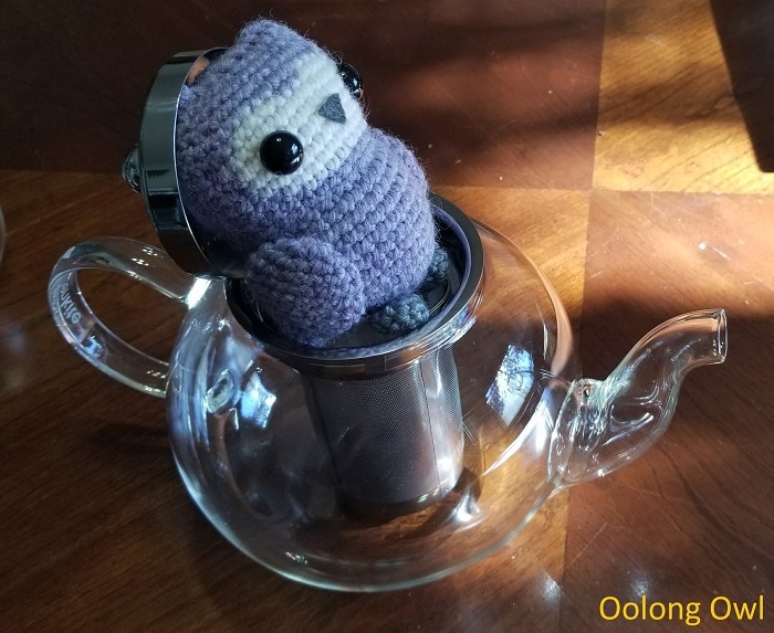 kitchen kite glass tea pot amazon - oolong owl (8)